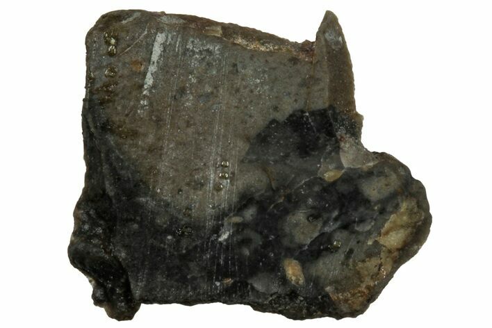 NWA Lunar Meteorite ( g) Slice #307574